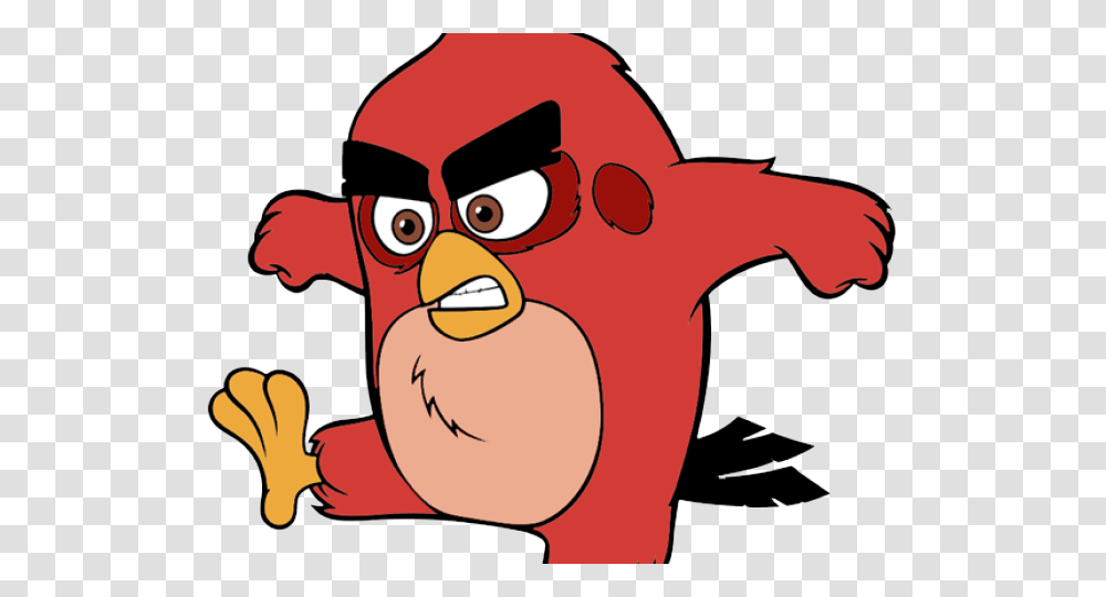 Bird Of Prey Clipart Angry Bird Movie, Angry Birds Transparent Png