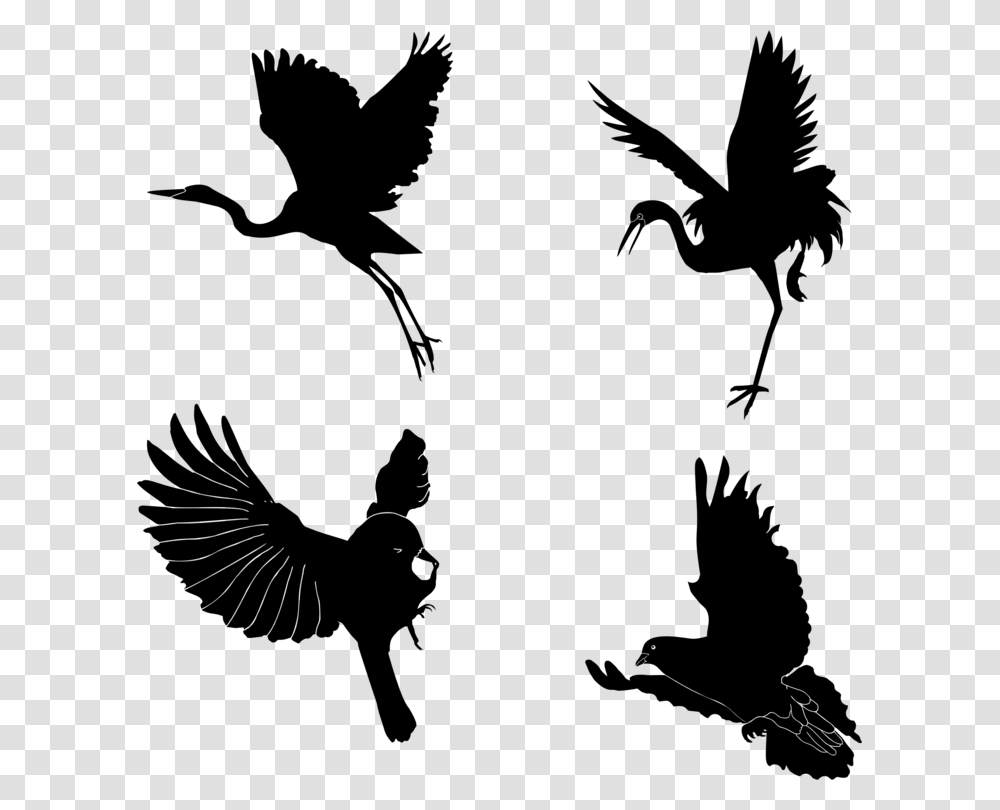 Bird Of Prey Silhouette Beak Feather, Gray, World Of Warcraft Transparent Png