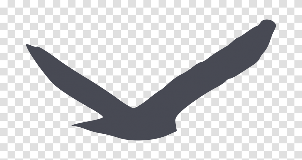 Bird Of Prey Silhouette Gulls Beak, Arm, Hand, Wrist Transparent Png