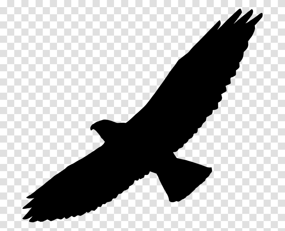Bird Of Prey Swainsons Hawk Silhouette, Gray, World Of Warcraft Transparent Png