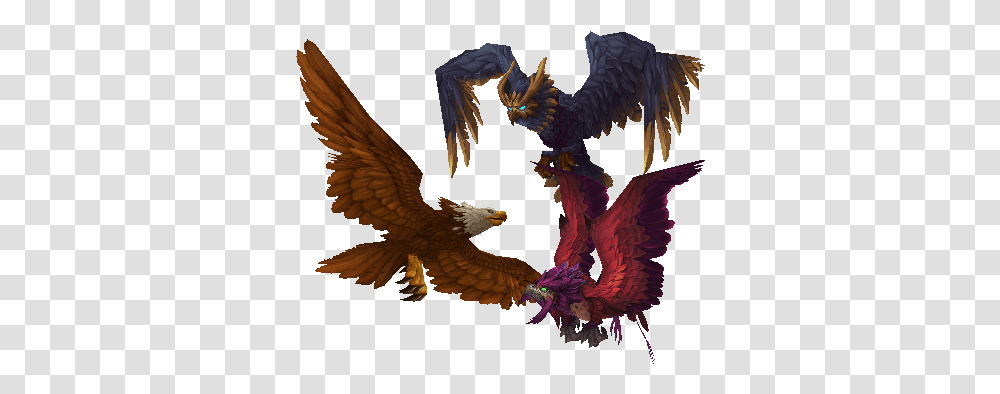 Bird Of Prey World Of Warcraft Hawk, Animal, Dragon, Eagle Transparent Png
