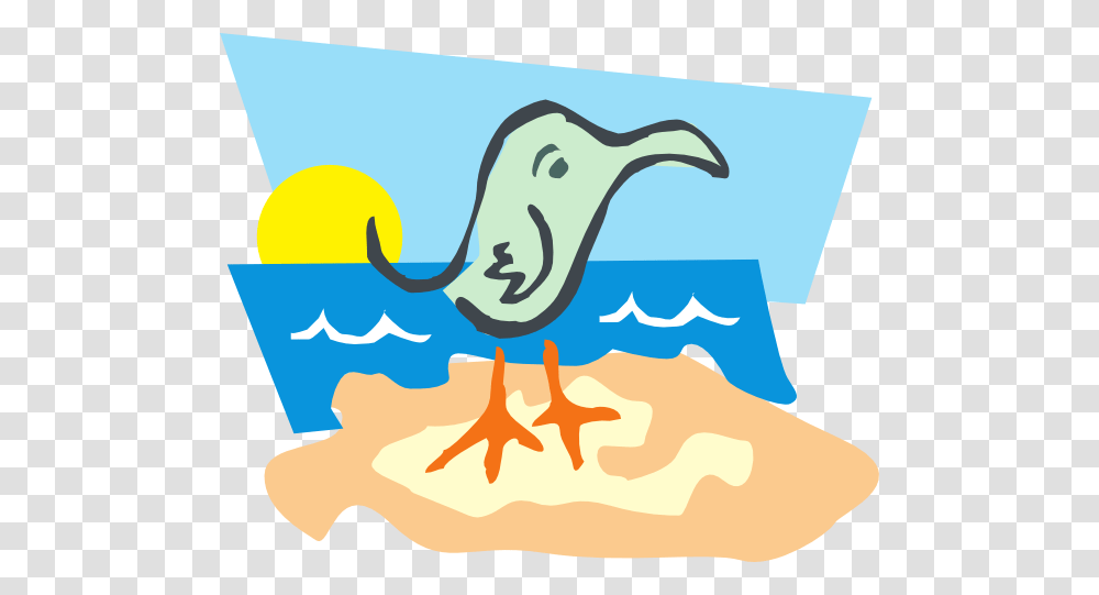 Bird On A Beach Clip Art, Animal, Nature, Outdoors Transparent Png