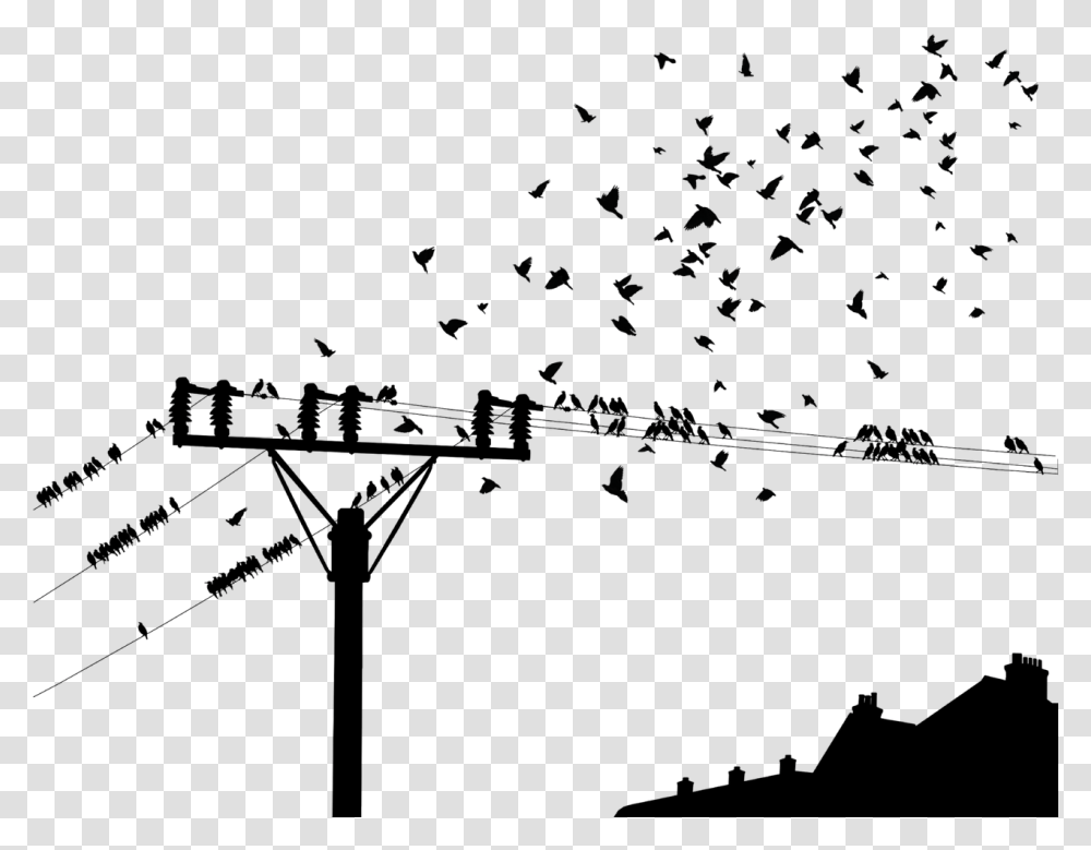 Bird On Powerline, Nature, Outdoors, Night, Astronomy Transparent Png