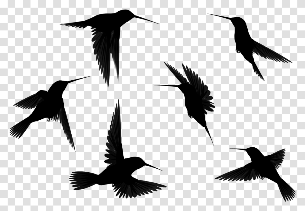 Bird Outline Flying Birds Clipart Black And White, Gray, World Of Warcraft Transparent Png