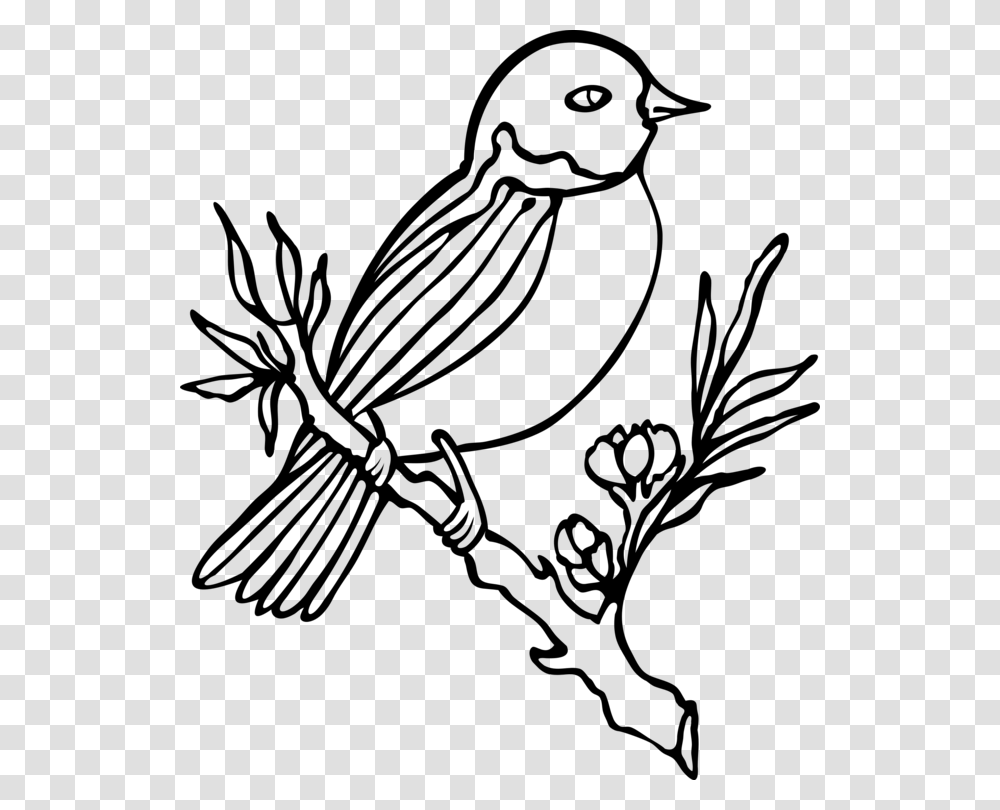 Bird Owl Drawing Flower Penguin, Gray, World Of Warcraft Transparent Png