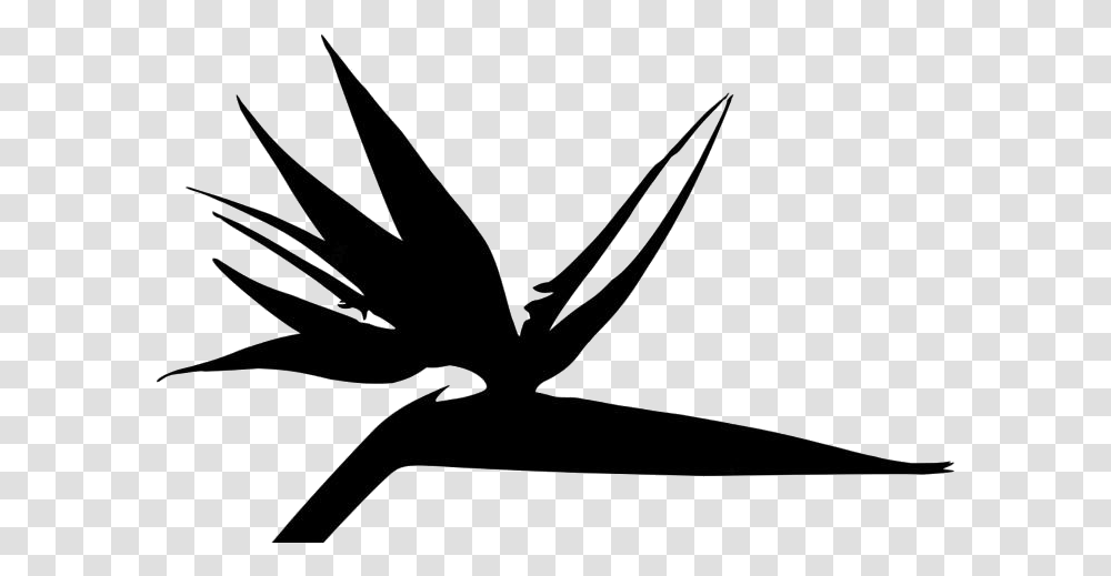 Bird Paradise Plant Logo, Bow, Flower, Aloe, Leaf Transparent Png