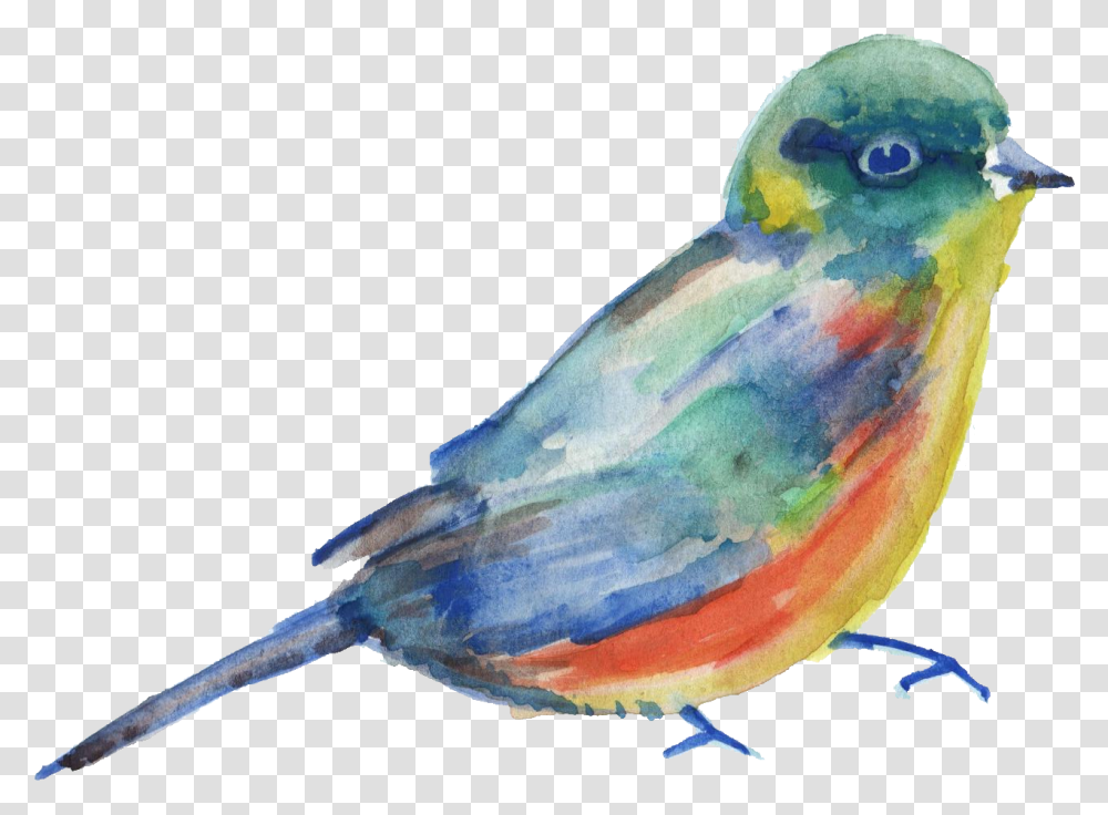 Bird Parrot Watercolor Painting Watercolor Bird, Bluebird, Animal, Jay, Blue Jay Transparent Png