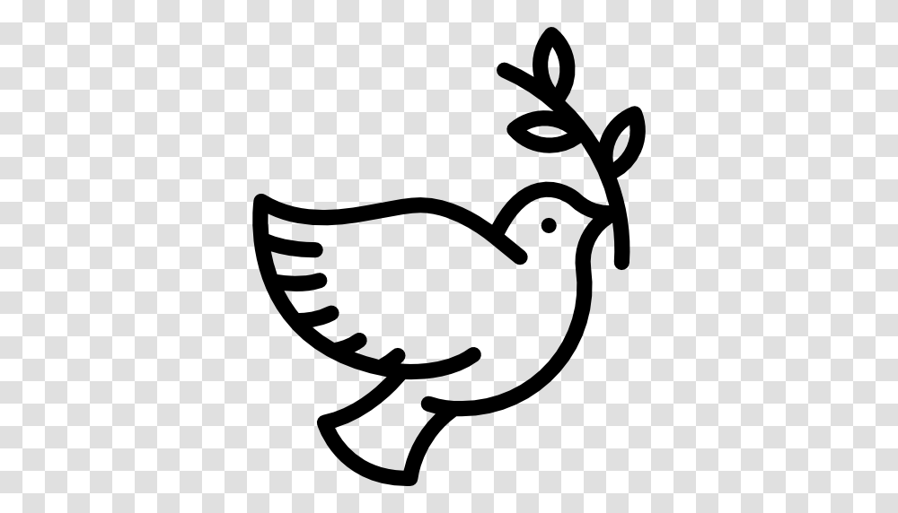 Bird Peace Animals Dove Pigeon Icon, Gray, World Of Warcraft Transparent Png