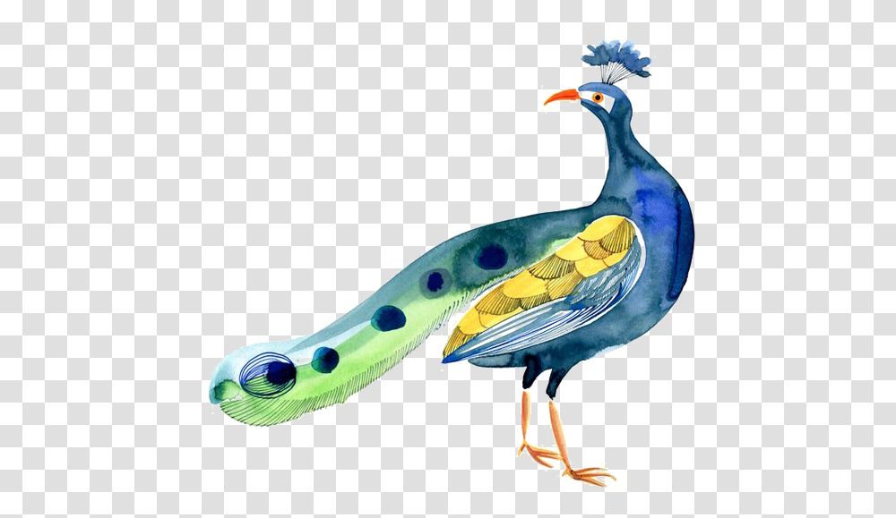 Bird Peafowl Peafowl, Animal, Reptile, Dinosaur, Dodo Transparent Png