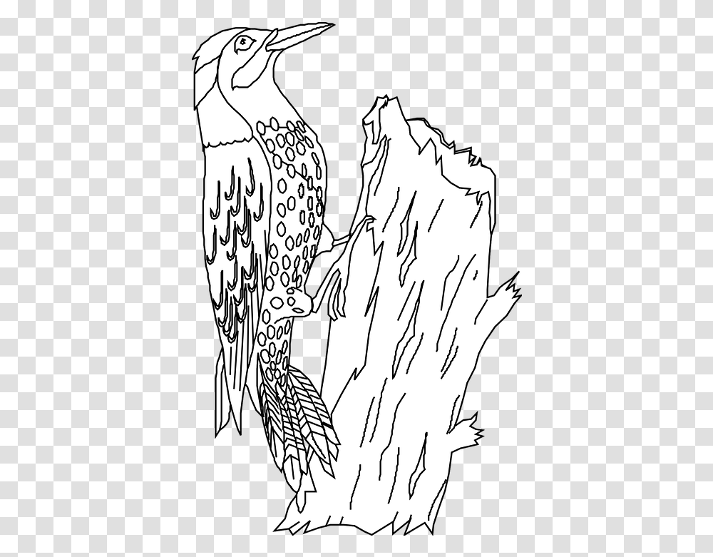 Bird Perched Woodpecker Tree Free Vector Graphic On Pixabay Logo Burung Pelatuk Vector, Person, Animal, Art, Drawing Transparent Png