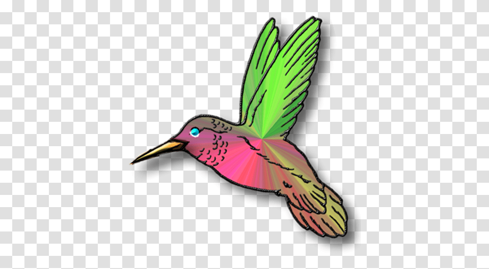 Bird Picture Teal Hummingbird Clipart, Animal, Beak, Flying, Bee Eater Transparent Png