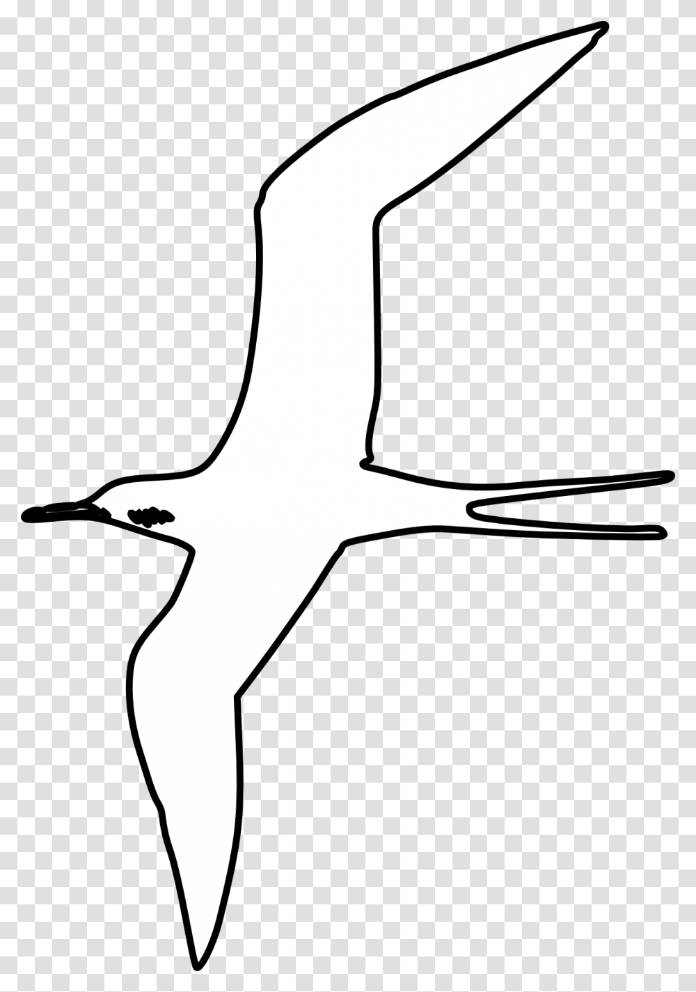 Bird Plain White, Animal, Beak, Stencil, Flamingo Transparent Png