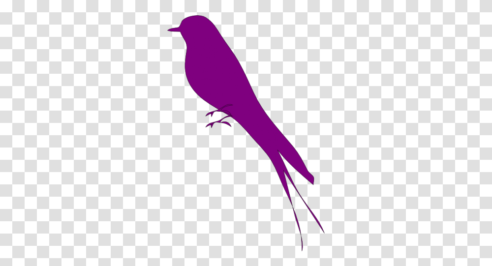 Bird Purple Icon Purplepng Images Mockingbird, Animal, Amphibian, Wildlife, Gecko Transparent Png