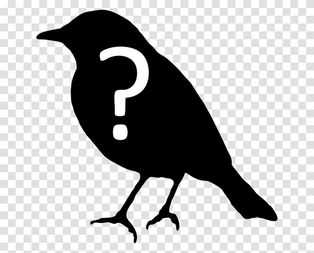 Bird Question, Animal, Silhouette, Blackbird, Agelaius Transparent Png