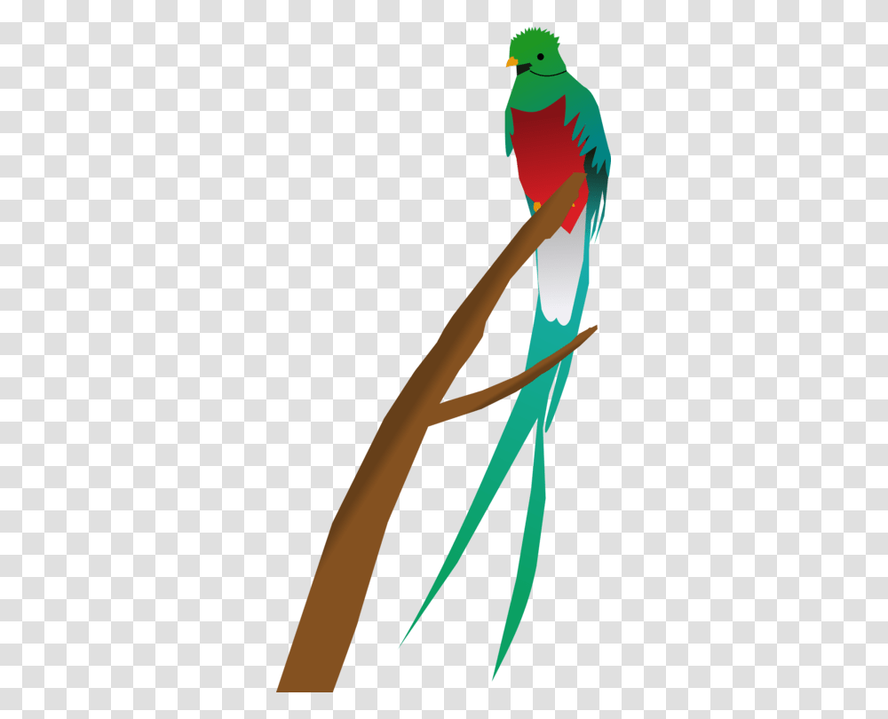 Bird Resplendent Quetzal Computer Icons Parrot, Animal, Oars, Tool, Brush Transparent Png