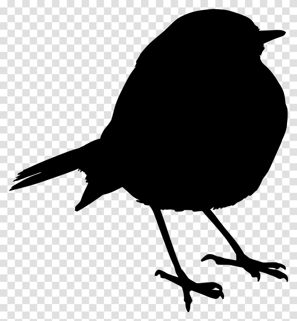 Bird Robin, Gray, World Of Warcraft Transparent Png