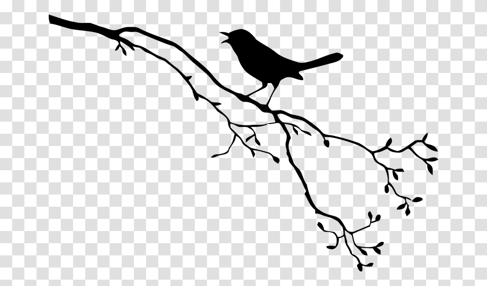 Bird Royalty Free Drawing Bird Branch Silhouette, Logo, Word Transparent Png