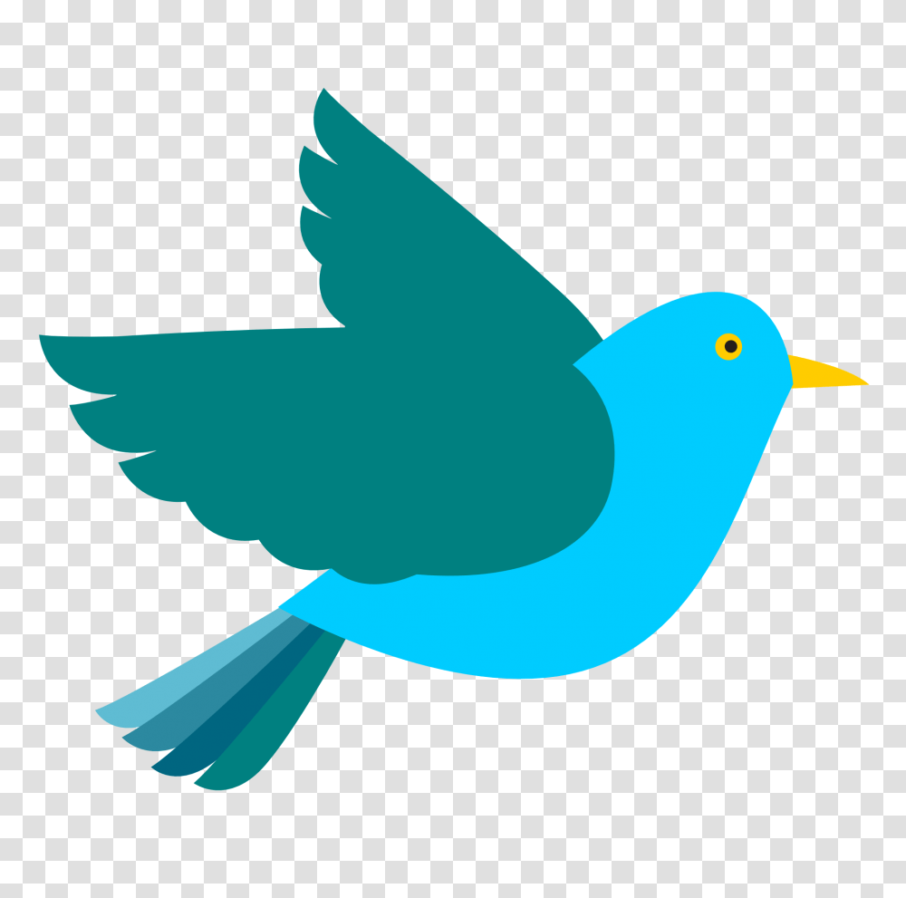 Bird, Shark, Sea Life, Fish, Animal Transparent Png