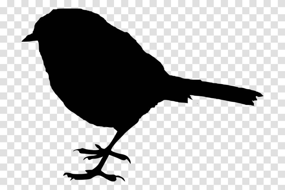 Bird Silhouette, Animal, Blackbird, Agelaius, Beak Transparent Png