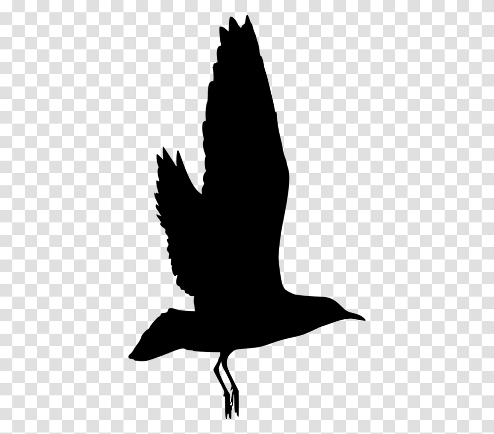 Bird Silhouette, Animal, Apparel, Heel Transparent Png