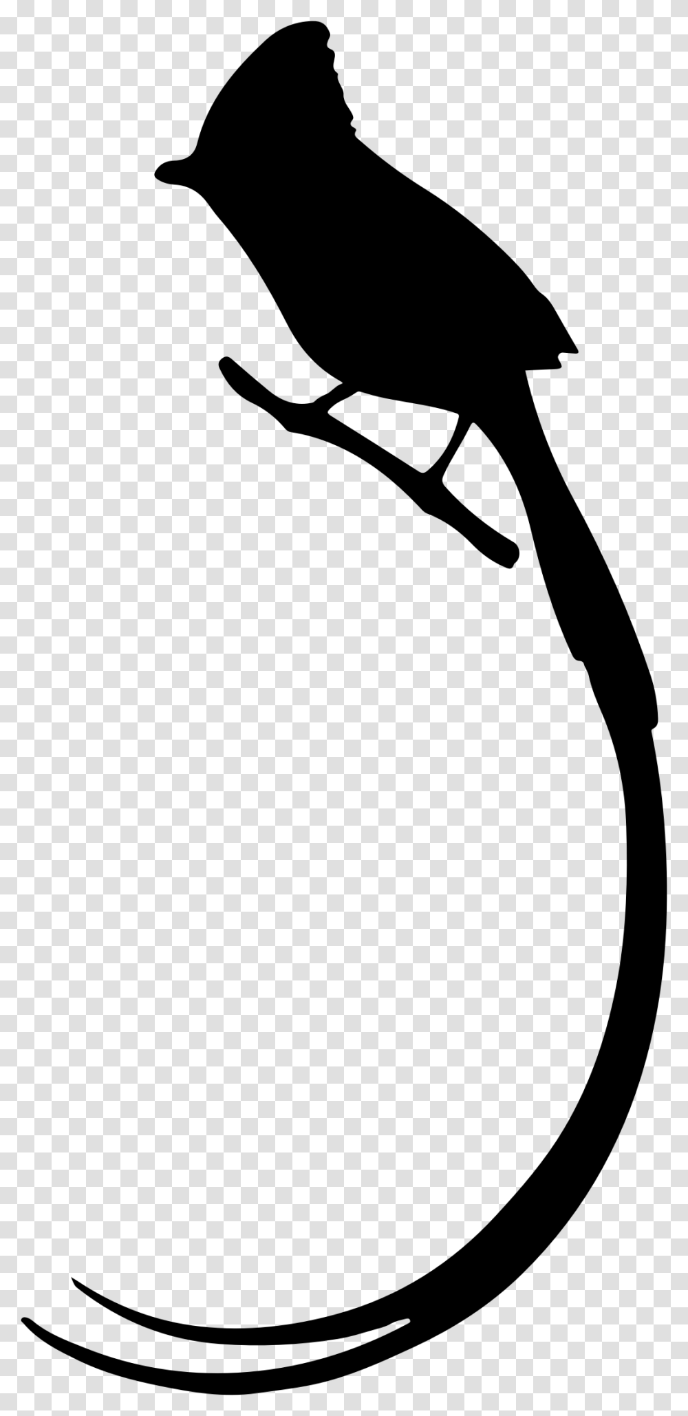 Bird Silhouette Animal Paradise Flycatcher, Gray, World Of Warcraft Transparent Png