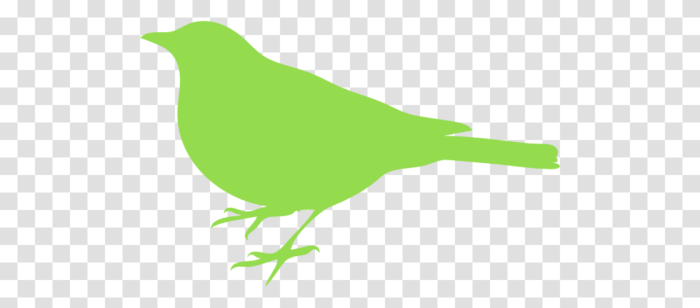 Bird Silhouette Clip Art, Animal, Finch, Canary Transparent Png