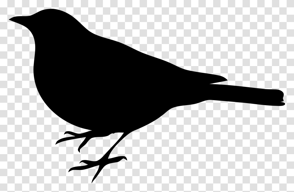 Bird Silhouette Clip Art Bird Clipart Black, Blackbird, Animal, Agelaius, Stencil Transparent Png