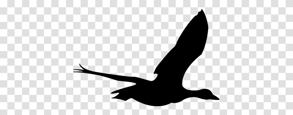 Bird Silhouette Clip Art, Gray, World Of Warcraft Transparent Png