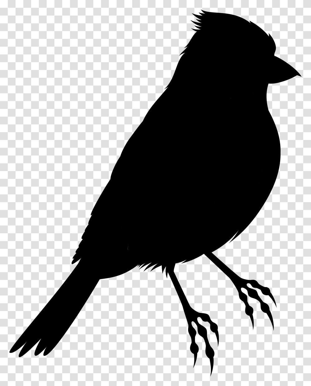 Bird Silhouette Clip Art Illustration Drawing, Gray, World Of Warcraft Transparent Png