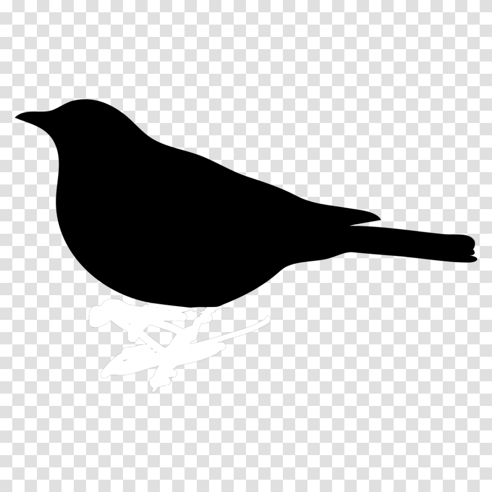 Bird Silhouette Clip Art Silhouette Of A Bird Simple, Airplane, Aircraft, Vehicle, Transportation Transparent Png
