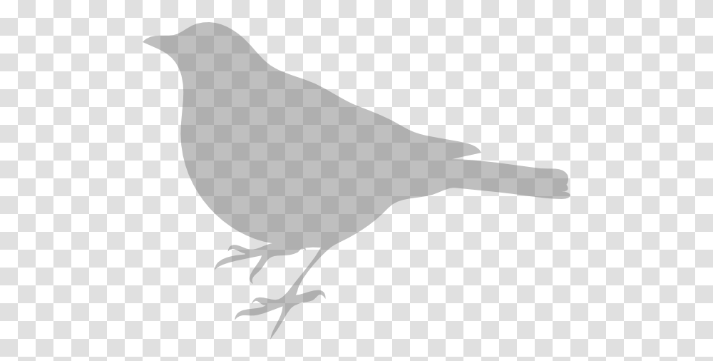 Bird Silhouette Clip Arts For Web Bird Silhouette Clip Art, Animal, Finch, Canary, Blackbird Transparent Png