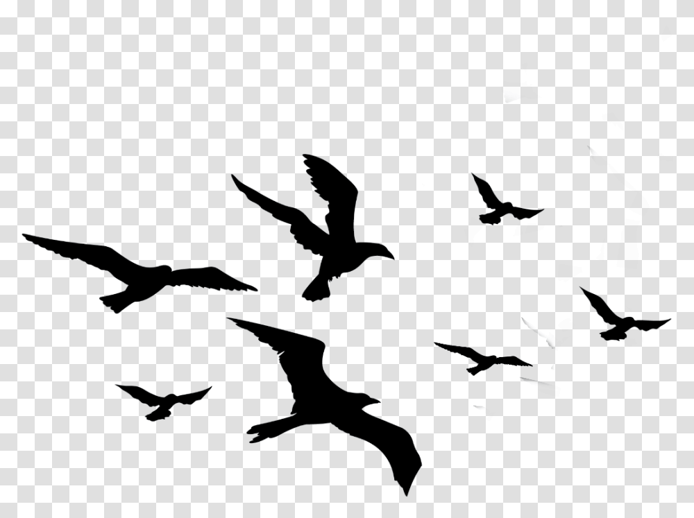 Bird Silhouette Clipart Flock Of Birds Silhouette, Outdoors, Nature, Night, Astronomy Transparent Png