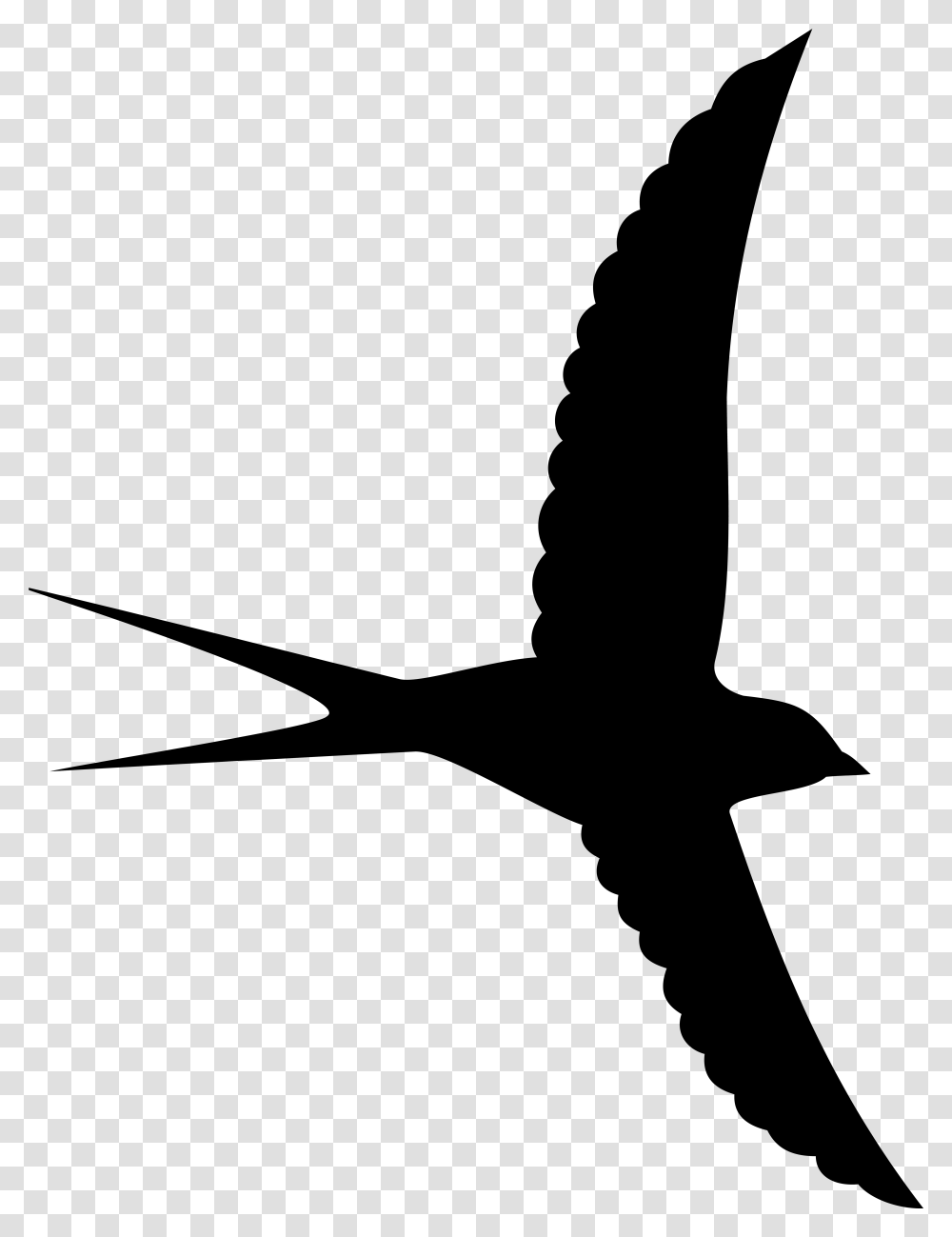 Bird Silhouette Clipart Image Bird Silhouette Background, Gray, World Of Warcraft Transparent Png