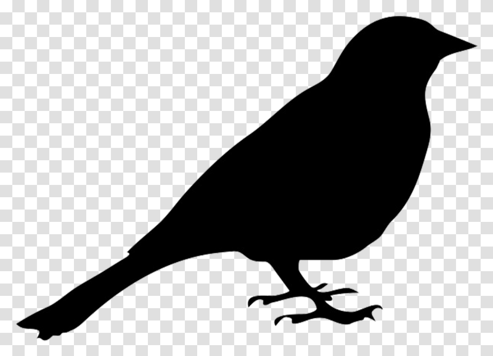 Bird Silhouette Drawing Clip Art Pigeon Silhouette Clipart, Animal, Bow, Finch, Blackbird Transparent Png