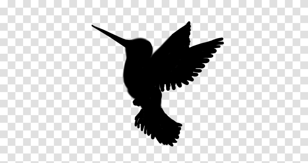Bird Silhouette Eagle, Animal, Blackbird, Agelaius, Flying Transparent Png