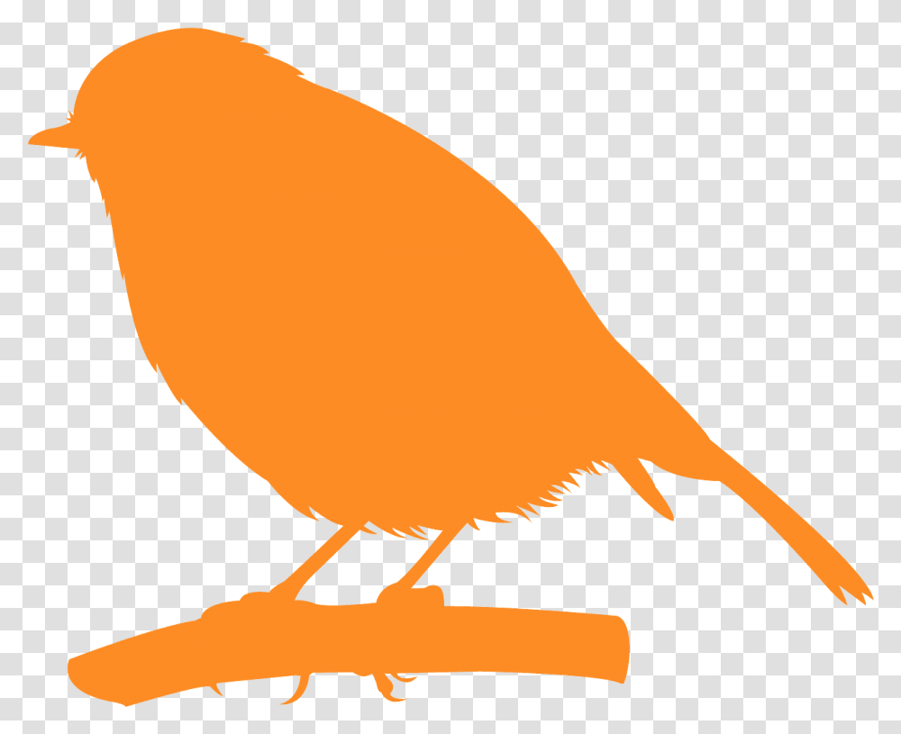 Bird Silhouette Green, Canary, Animal, Finch, Person Transparent Png