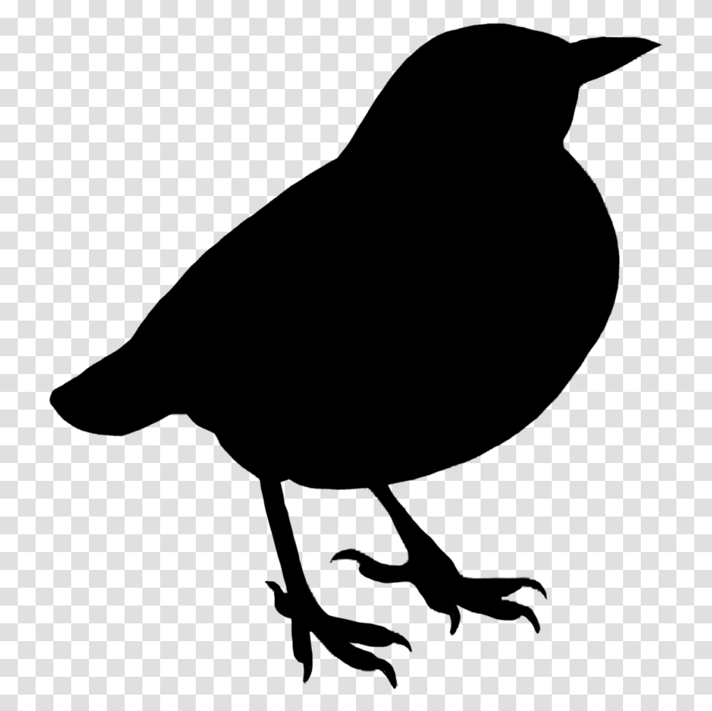 Bird Silhouette No Background, Gray, World Of Warcraft Transparent Png
