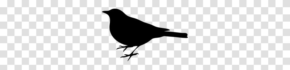 Bird Silhouette Small Black Clip Art For Web, Gray, World Of Warcraft Transparent Png