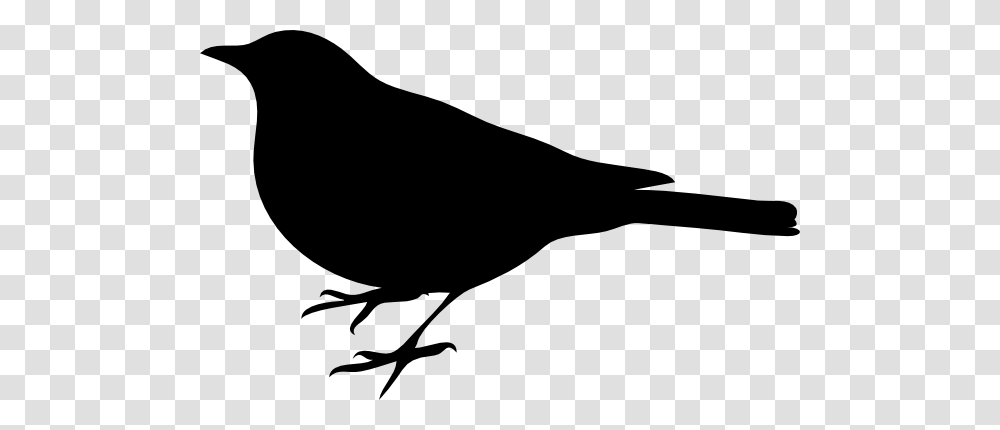 Bird Silhouette Small Black Clip Arts Download, Blackbird, Animal, Agelaius, Stencil Transparent Png