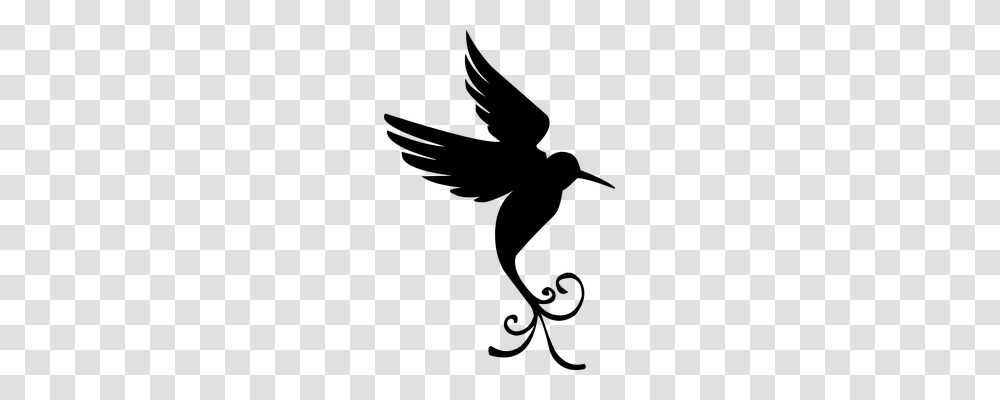 Bird Silhouette Wing Feather Buy Me A Coffee, Gray, World Of Warcraft Transparent Png