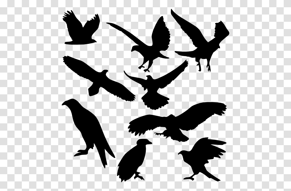 Bird Silhouettes Clip Arts Download, Animal, Flying, Stencil, Flock Transparent Png