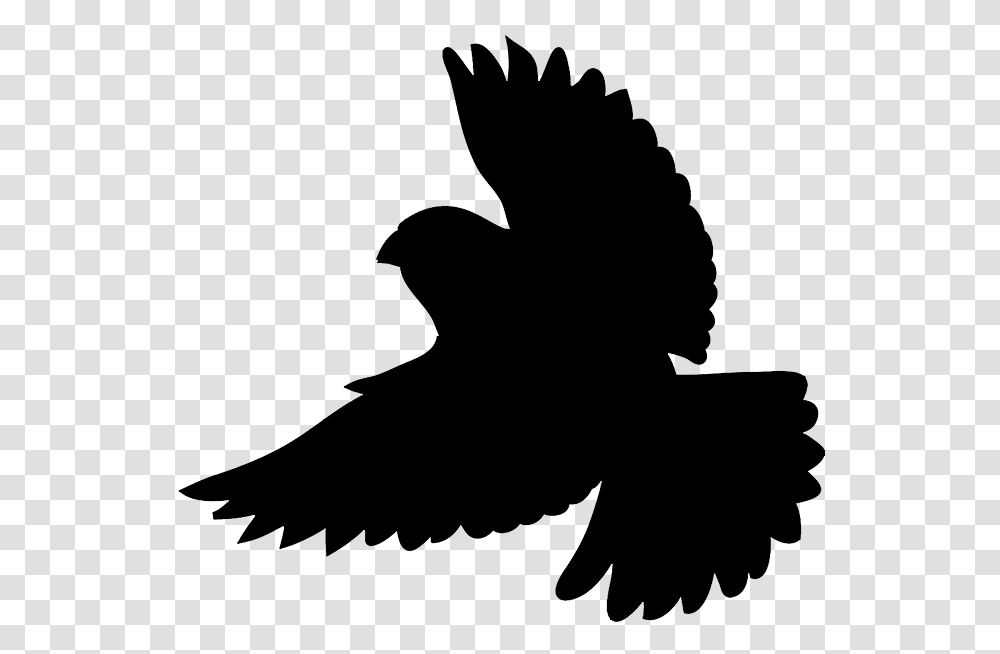 Bird Silhouettes, Kneeling, Ninja, Baby, Musician Transparent Png