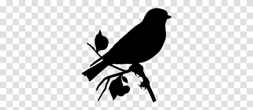 Bird Sitting On Branch Images Imagenes De Animado, Silhouette, Bow, Animal, Blackbird Transparent Png