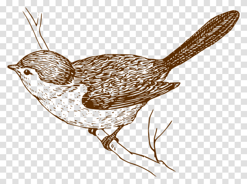 Bird Songbird Branch Clip Art Vintage Bird, Animal, Snake, Reptile, Fowl Transparent Png