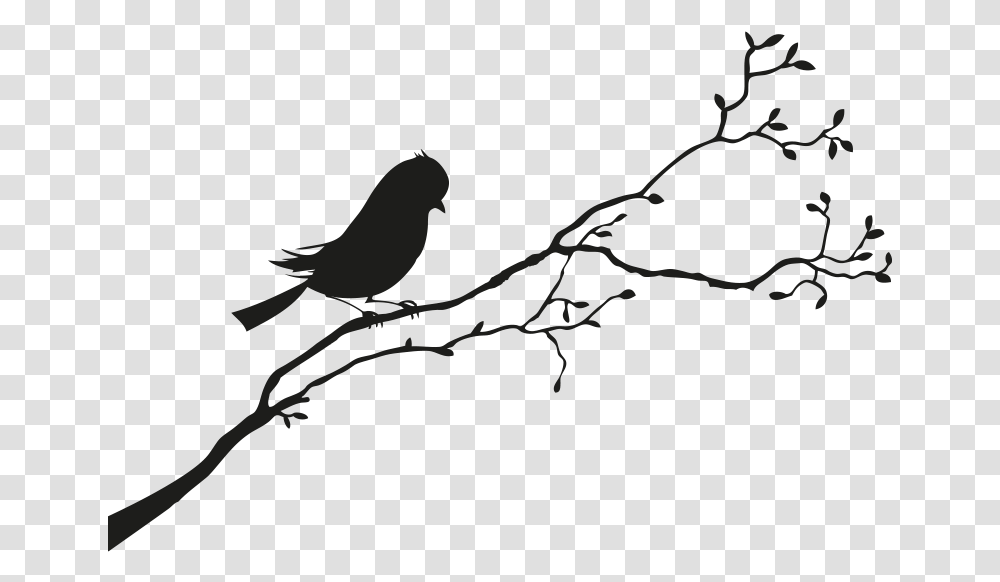 Bird Sparrow Silhouette Black And White Bird Silhouette, Animal, Blackbird, Agelaius, Finch Transparent Png