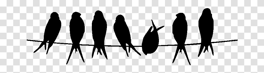 Bird Stencil Silhouette Owl Common Kingfisher Silhouette Oiseau Sur Fil, Gray, World Of Warcraft Transparent Png