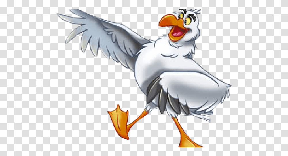 Bird The Little Mermaid Characters, Animal, Waterfowl, Pelican, Seagull Transparent Png