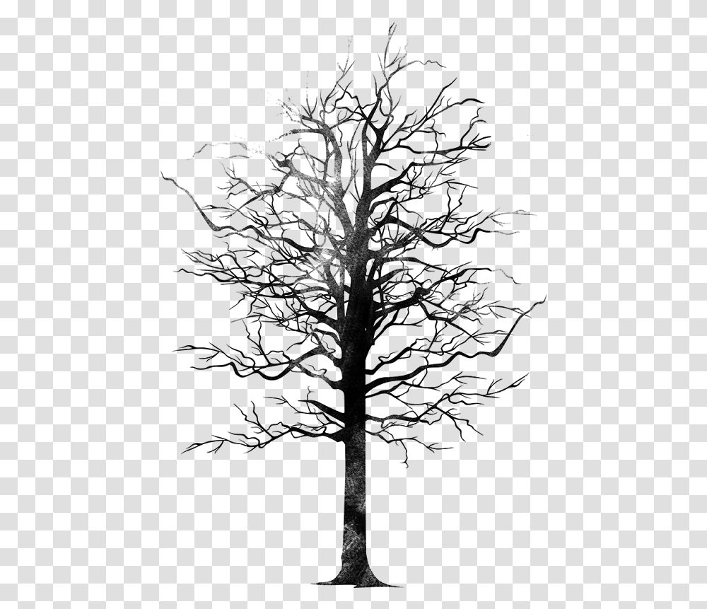 Bird Tree Monochrome Silhouette, Gray, World Of Warcraft Transparent Png