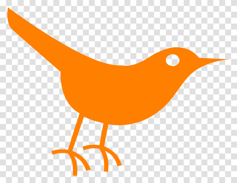 Bird Twitter Orange Free Vector Graphic On Pixabay Cute Robin Bird Icon, Animal, Canary Transparent Png