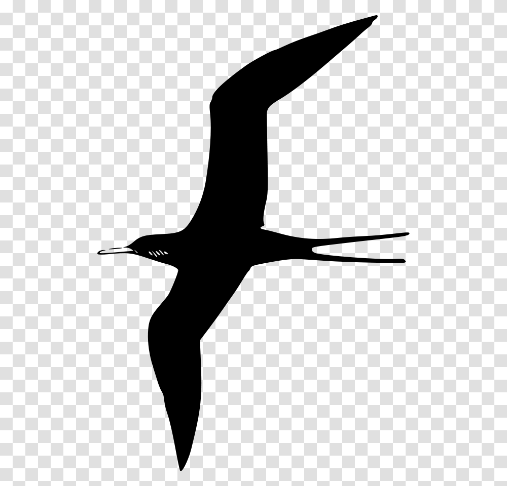 Bird Vector Birds Black Clipart, Gray, World Of Warcraft Transparent Png
